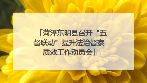 菏泽东明县召开“五督联动”提升法治督察质效工作动员会