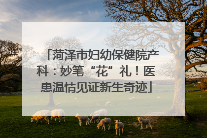 菏泽市妇幼保健院产科：妙笔“花”礼！医患温情见证新生奇迹