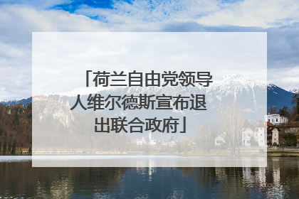 荷兰自由党领导人维尔德斯宣布退出联合政府