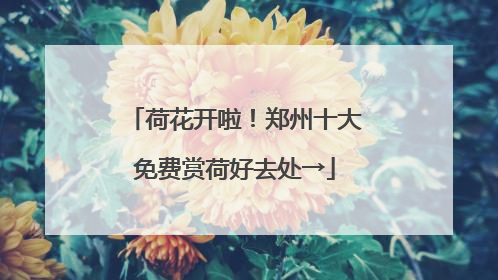 荷花开啦！郑州十大免费赏荷好去处→