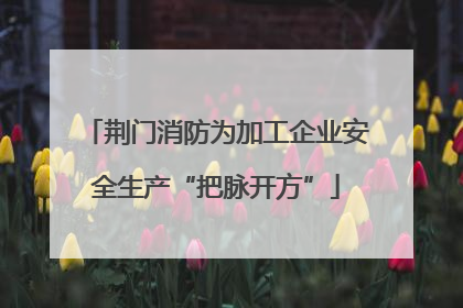 荆门消防为加工企业安全生产“把脉开方”