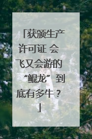 获颁生产许可证 会飞又会游的“鲲龙”到底有多牛？