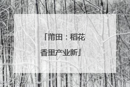 莆田：稻花香里产业新