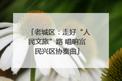 老城区：走好“人民文旅”路 唱响富民兴区协奏曲