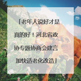 老年人说好才是真的好！河北省政协专题协商会建言加快适老化改造