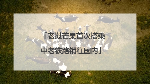 老挝芒果首次搭乘中老铁路销往国内