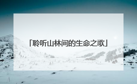 聆听山林间的生命之歌