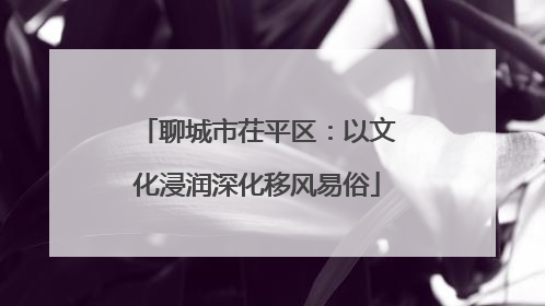 聊城市茌平区：以文化浸润深化移风易俗