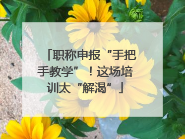 职称申报“手把手教学”！这场培训太“解渴”