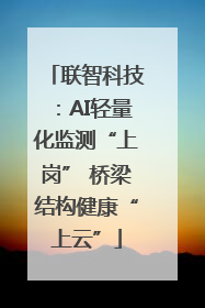 联智科技：AI轻量化监测“上岗” 桥梁结构健康“上云”