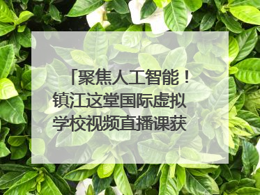 聚焦人工智能！镇江这堂国际虚拟学校视频直播课获韩美伙伴点赞