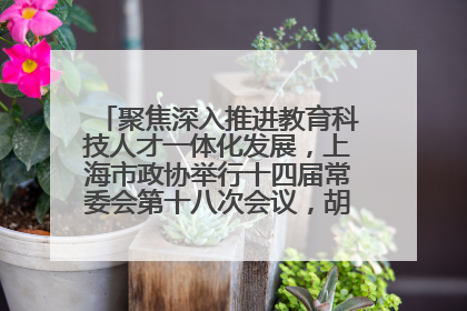 聚焦深入推进教育科技人才一体化发展，上海市政协举行十四届常委会第十八次会议，胡文容出席并讲话