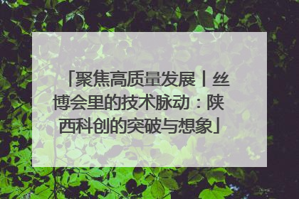 聚焦高质量发展丨丝博会里的技术脉动：陕西科创的突破与想象