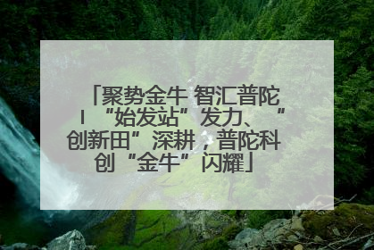 聚势金牛 智汇普陀〡“始发站”发力、“创新田”深耕，普陀科创“金牛”闪耀