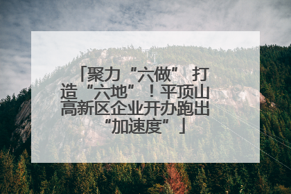 聚力“六做” 打造“六地”！平顶山高新区企业开办跑出“加速度”