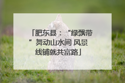 肥东县：“绿飘带”舞动山水间 风景线铺就共富路