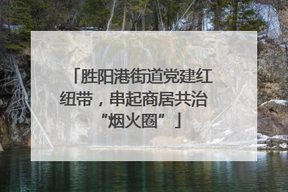 胜阳港街道党建红纽带，串起商居共治 “烟火圈”