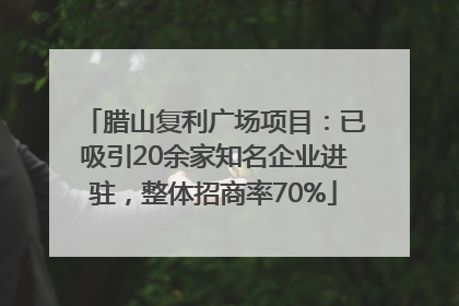 腊山复利广场项目：已吸引20余家知名企业进驻，整体招商率70%