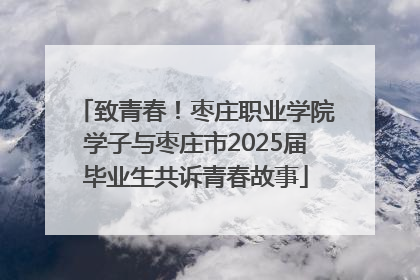 致青春！枣庄职业学院学子与枣庄市2025届毕业生共诉青春故事