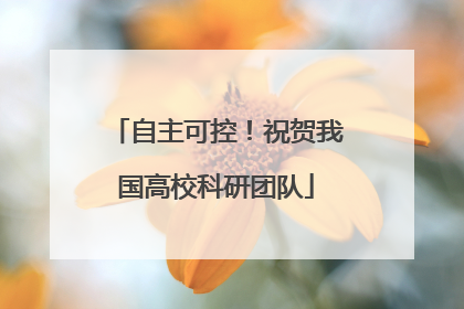 自主可控！祝贺我国高校科研团队