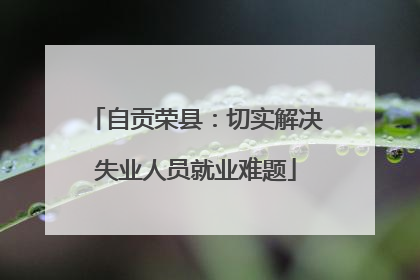 自贡荣县：切实解决失业人员就业难题