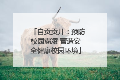 自贡贡井：预防校园霸凌 营造安全健康校园环境