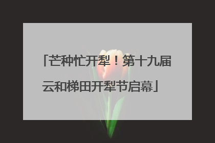 芒种忙开犁！第十九届云和梯田开犁节启幕