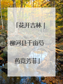 花开吉林｜柳河县千亩芍药竞芳菲