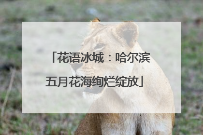 花语冰城：哈尔滨五月花海绚烂绽放