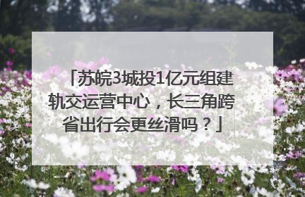 苏皖3城投1亿元组建轨交运营中心，长三角跨省出行会更丝滑吗？