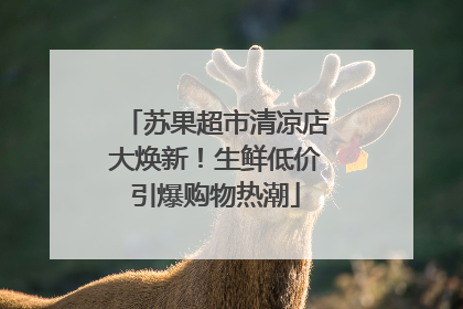 苏果超市清凉店大焕新！生鲜低价引爆购物热潮