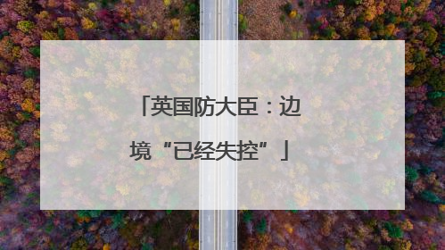 英国防大臣：边境“已经失控”