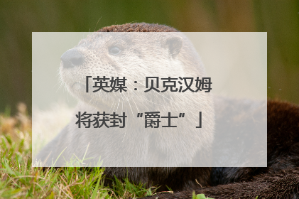 英媒：贝克汉姆将获封“爵士”