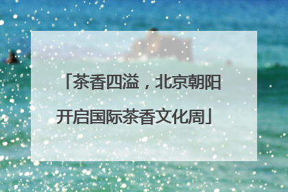 茶香四溢，北京朝阳开启国际茶香文化周