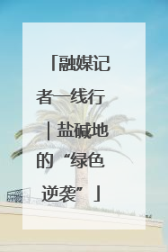 融媒记者一线行｜盐碱地的“绿色逆袭”