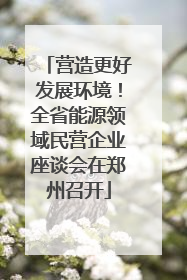 营造更好发展环境！全省能源领域民营企业座谈会在郑州召开