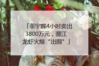 董宇辉4小时卖出3800万元，潜江龙虾火爆“出圈”