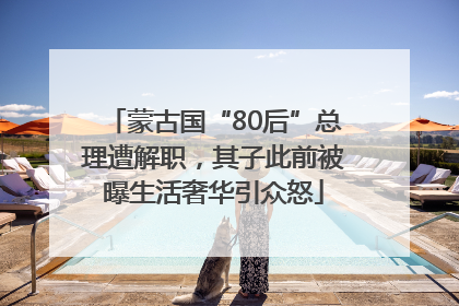蒙古国“80后”总理遭解职，其子此前被曝生活奢华引众怒