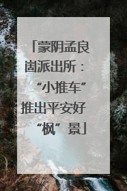 蒙阴孟良崮派出所：“小推车”推出平安好“枫”景