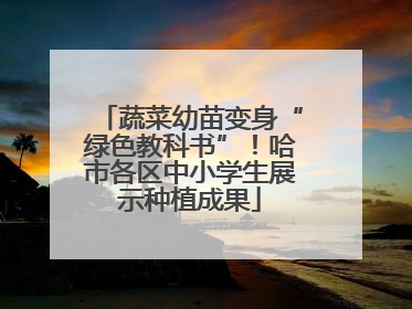 蔬菜幼苗变身“绿色教科书”！哈市各区中小学生展示种植成果
