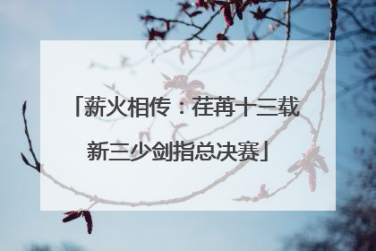 薪火相传：荏苒十三载 新三少剑指总决赛