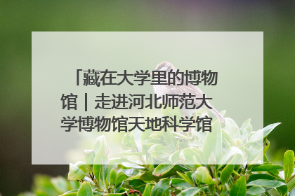 藏在大学里的博物馆｜走进河北师范大学博物馆天地科学馆：在校园里赴一场“宇宙之约”