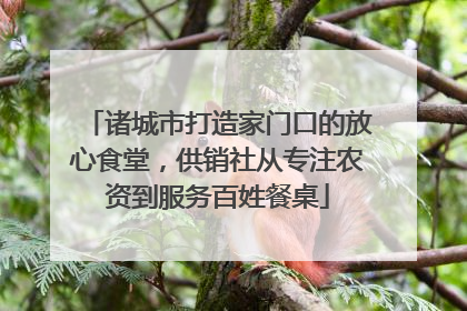 诸城市打造家门口的放心食堂，供销社从专注农资到服务百姓餐桌