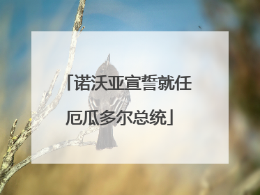诺沃亚宣誓就任厄瓜多尔总统