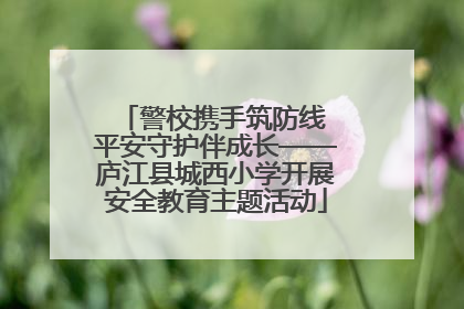 警校携手筑防线 平安守护伴成长——庐江县城西小学开展安全教育主题活动