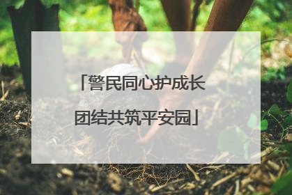警民同心护成长 团结共筑平安园