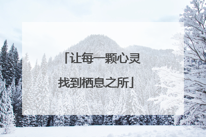 让每一颗心灵找到栖息之所