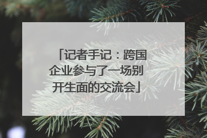 记者手记：跨国企业参与了一场别开生面的交流会