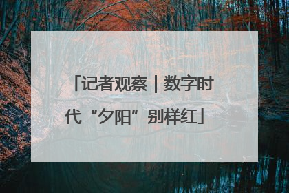 记者观察｜数字时代“夕阳”别样红