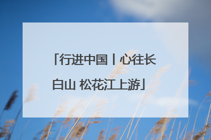 行进中国丨心往长白山 松花江上游
